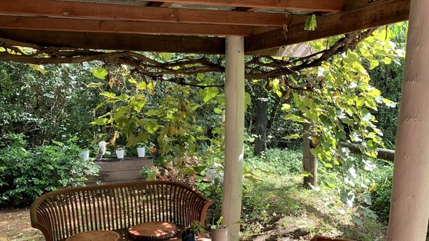 Eine Terrasse im Freien mit einem Holztisch und -stühlen, umgeben von Grünpflanzen und einem Pflasterboden.