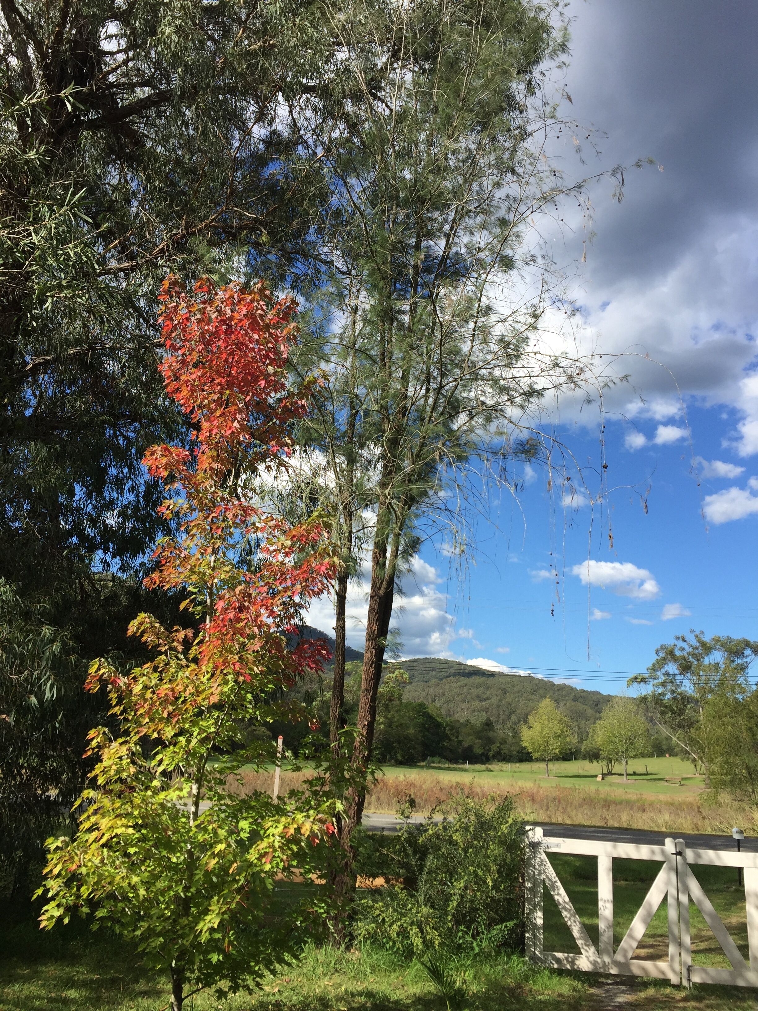 The Lodge - A Rustic Weekender in the Heart of Historic Wollombi — image 20