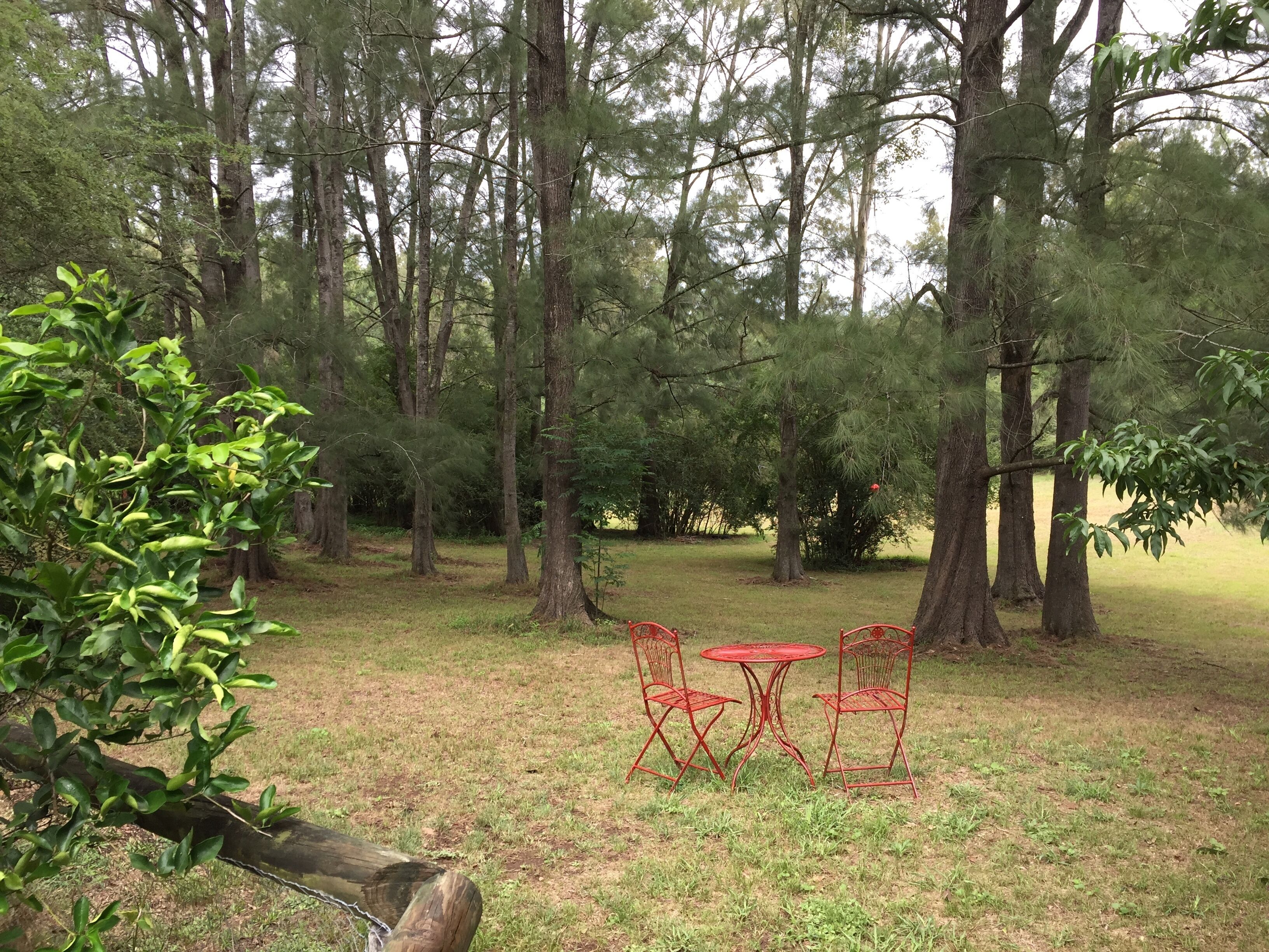 The Lodge - A Rustic Weekender in the Heart of Historic Wollombi — image 16