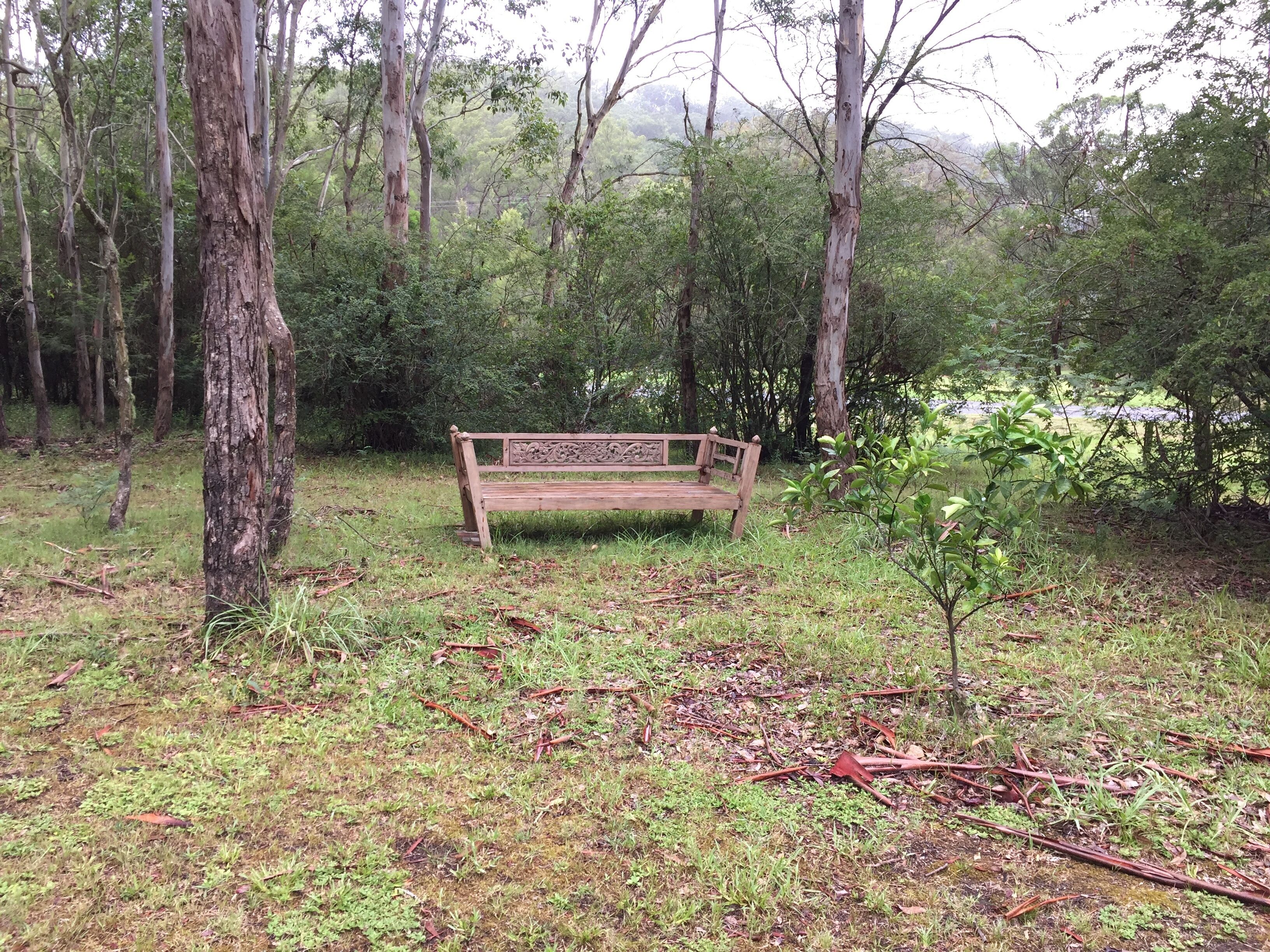 The Lodge - A Rustic Weekender in the Heart of Historic Wollombi — image 17