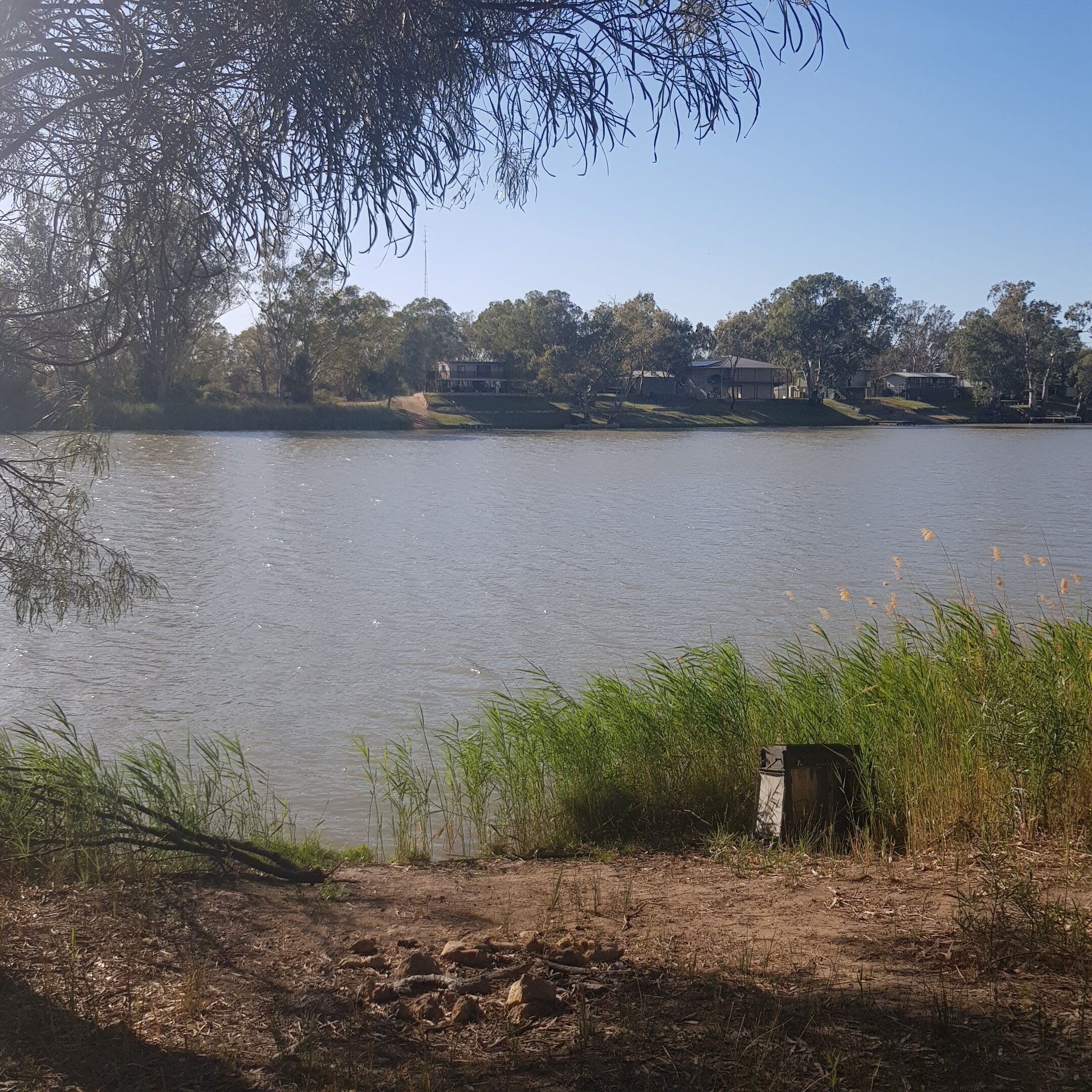 Morgan on the River Murray  with awesome river and scrub views — image 12