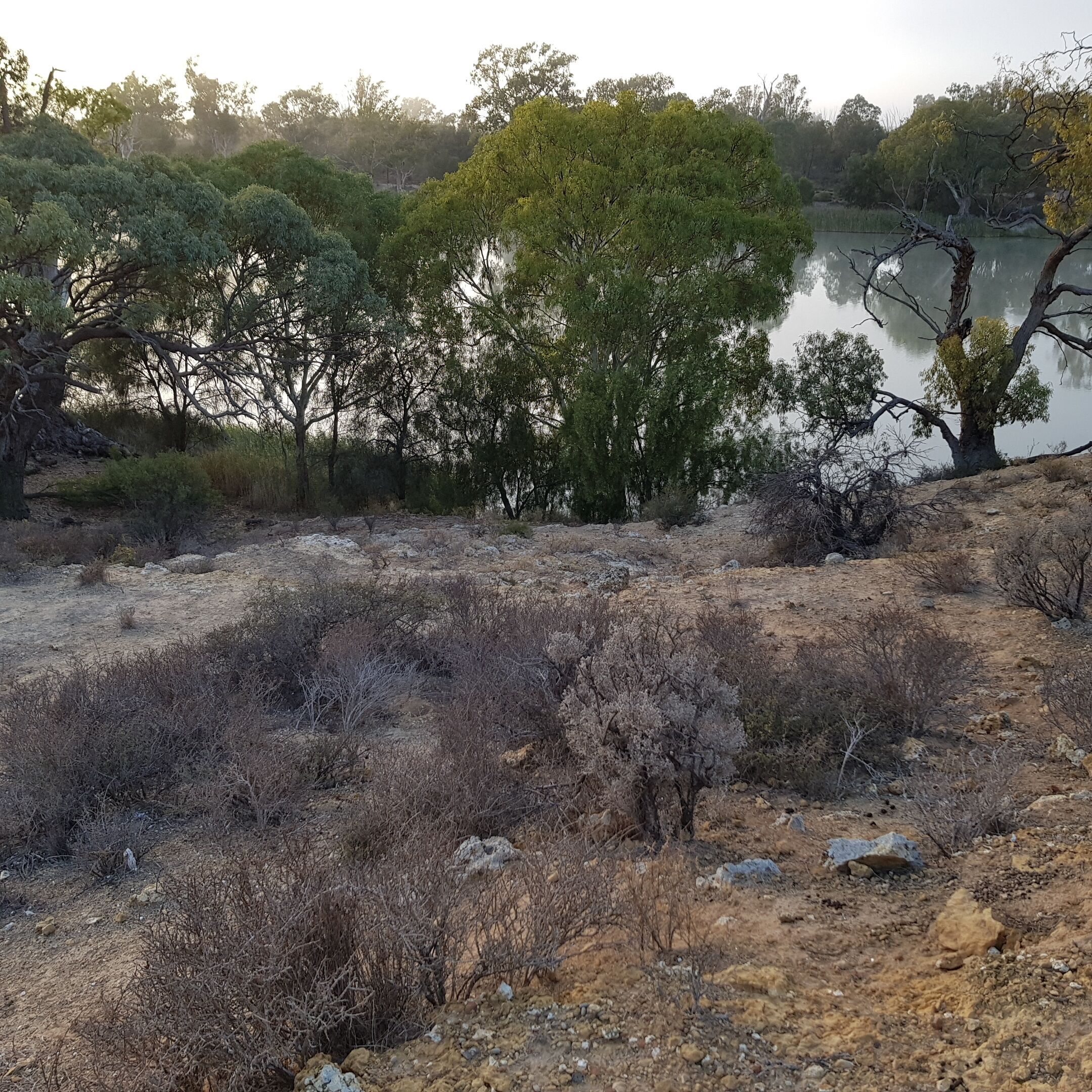 Morgan on the River Murray  with awesome river and scrub views — image 26
