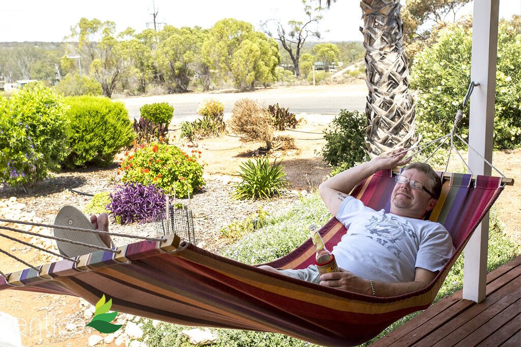 Morgan on the River Murray  with awesome river and scrub views — image 14