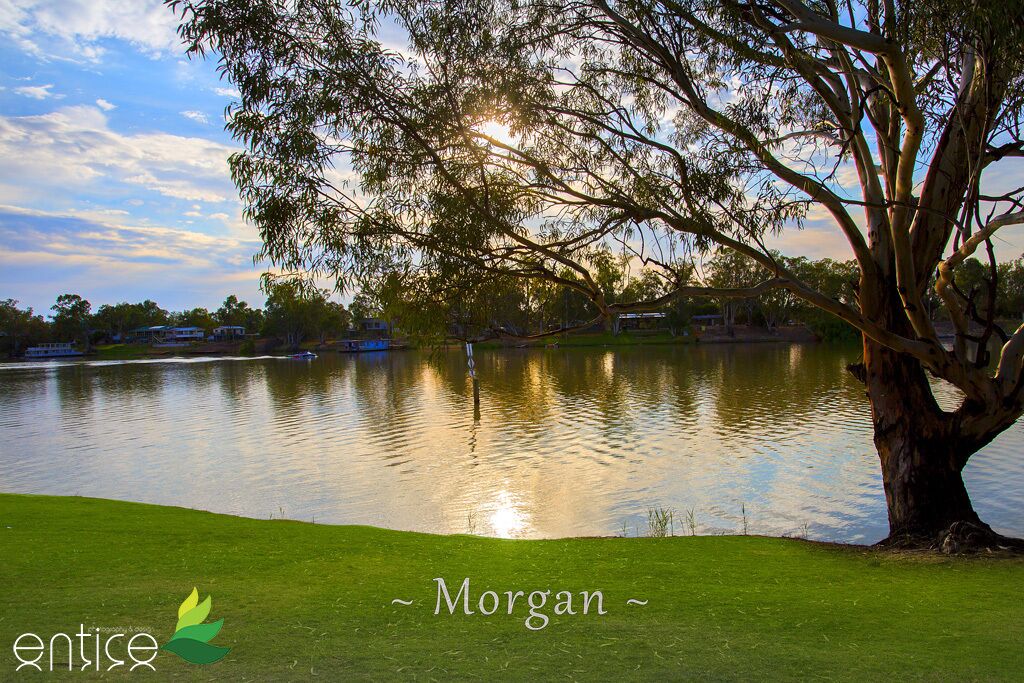 Morgan on the River Murray  with awesome river and scrub views — image 4