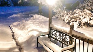 A snow-covered bench with a metal railing, surrounded by snow-laden bushes and trees. - Rangeley Lake Lodge - On Rangeley Lake with large lawn and close to town! (Rangeley)