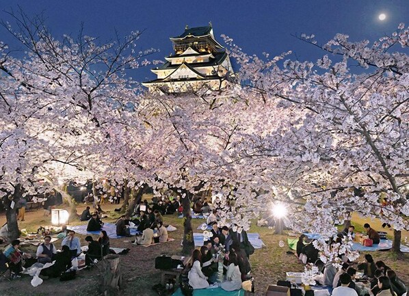 Outdoor banquet area