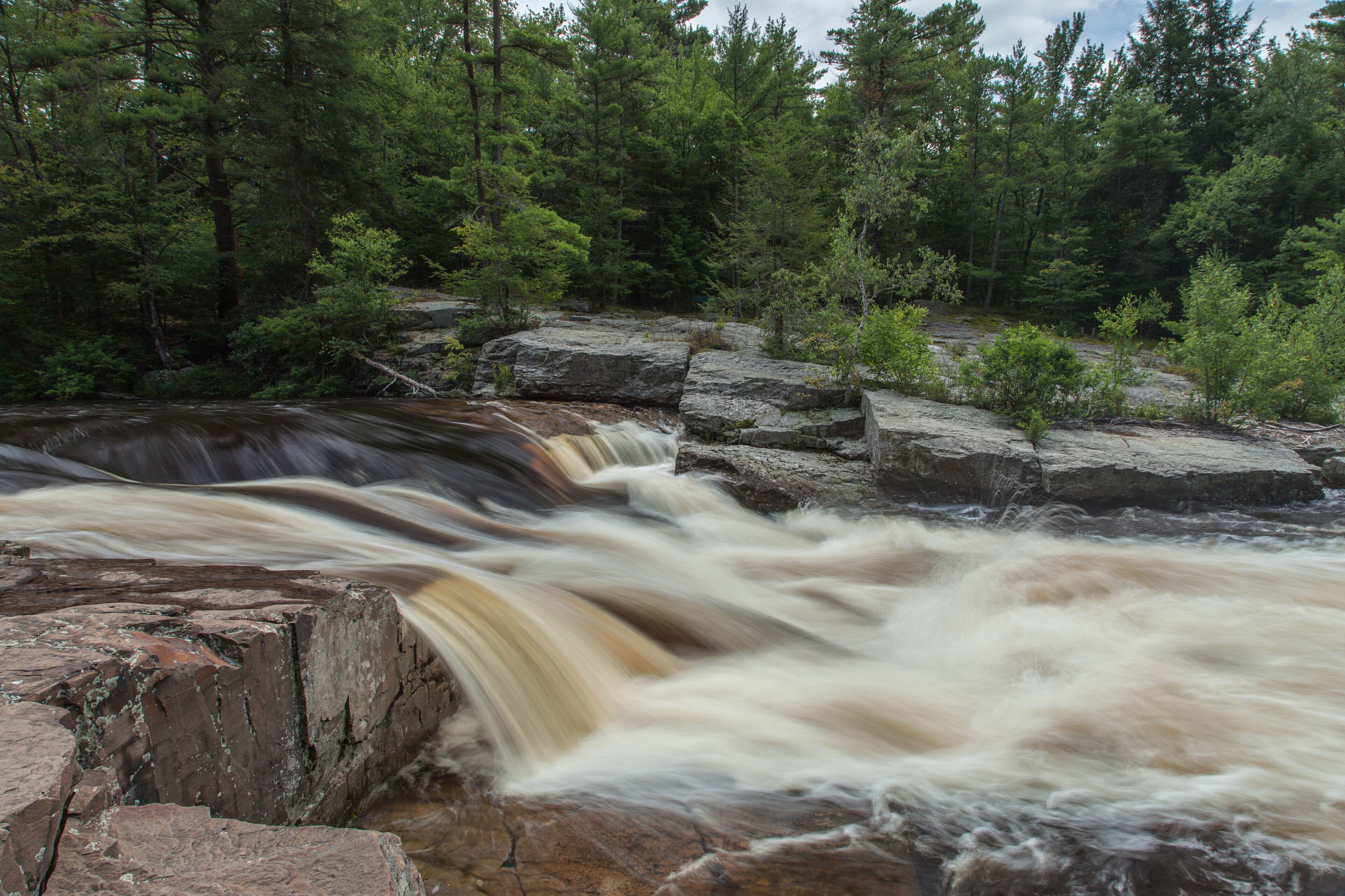 Una cascada fluyendo sobre rocas en un área boscosa.