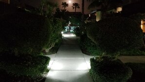 A nighttime pathway flanked by well-maintained hedges and palm trees, leading to a building with a lit entrance.