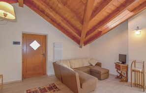 Smart-TV, Kamin