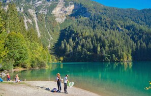 Escena a la vora d'un llac, amb vista clara als boscos i muntanyes circumdants.