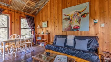 TV, fireplace, DVD player, books