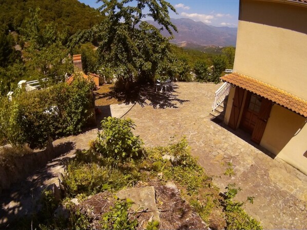 Surrounded by lush greenery, this serene courtyard offers a peaceful seating area with a chair.
