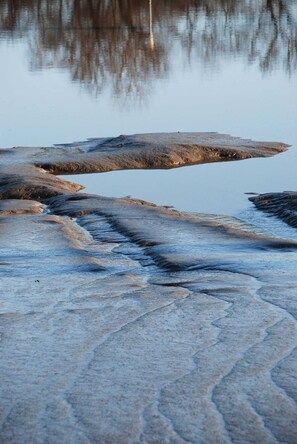 Immagine non classificata, 5 di 21, pulsante