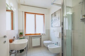 Shower, hair dryer, bidet, towels