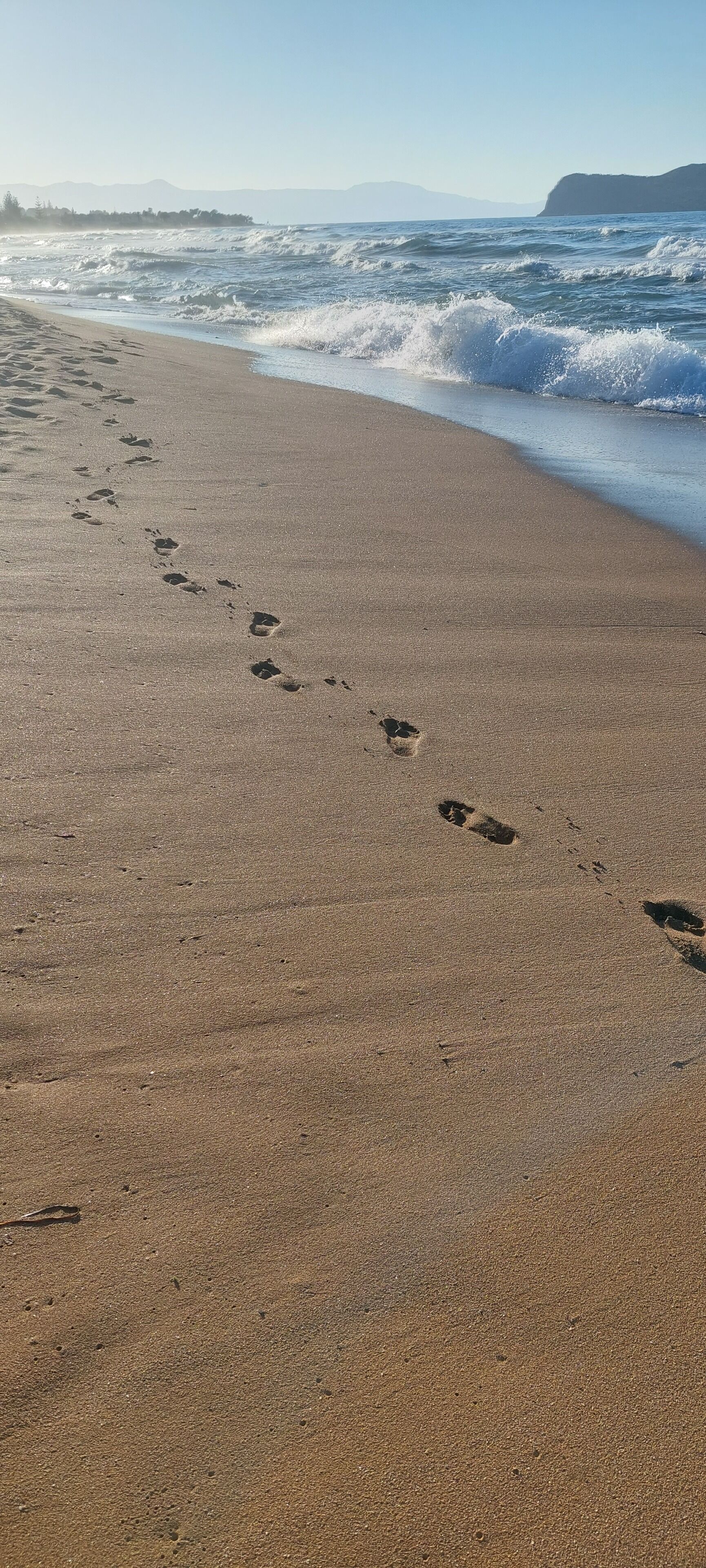 在海灘附近、躺椅、沙灘巾