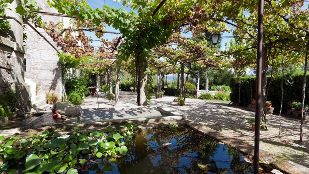 Ein friedlicher Garten mit Teich, Steinmauern und üppigem Grün.