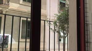 A balcony with a potted plant and a view of neighboring buildings. - Entire house in Outstanding location close to the City Center & Beach (Barcelona)