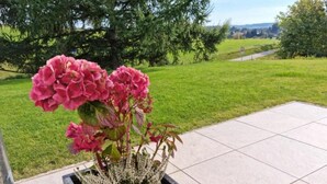 Una planta en maceta con flores rosadas sobre un patio con baldosas.