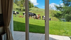 Vista a través de un ventanal de un espacio al aire libre con pasto y vacas.
