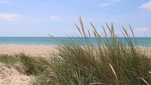 A beach with sand and grass in the foreground, and the ocean in the background.
