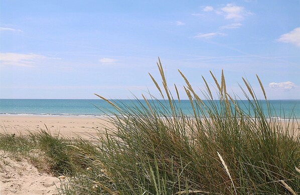 Una playa con arena y hierba en primer plano, y el océano al fondo.