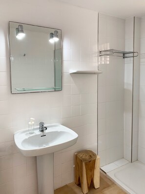 Hair dryer, towels, toilet paper