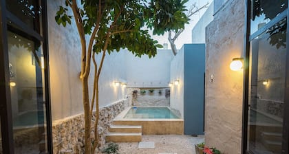 WONDERFUL CHARMING HOUSE, TASTEFULLY DECORATED, HISTORICAL CENTRE, POOL, CULTURE