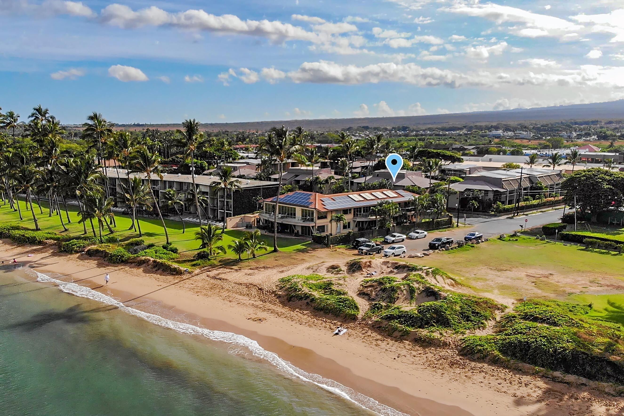 Vista aérea de una zona residencial costera con casas, una playa y palmeras.