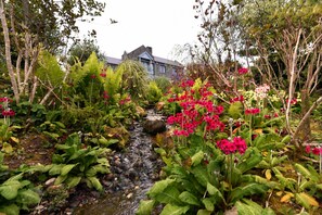 Property grounds - Wild Atlantic view, 5000sq ft in West Cork (Glandore)
