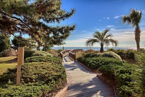 A wooden boardwalk leading to a beach with palm trees and dense greenery.