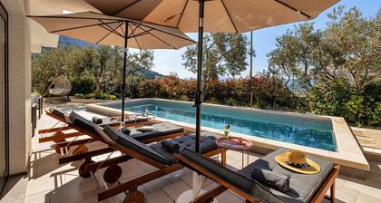 Villa Festina Lente in Makarska, heated pool