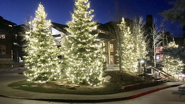 Una zona residencial de noche con árboles de Navidad iluminados en primer plano.