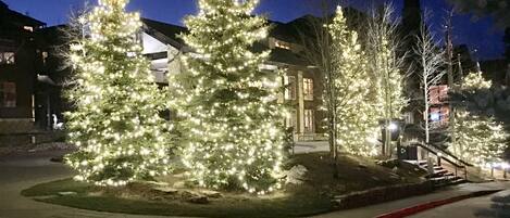 Áreas de la propiedad