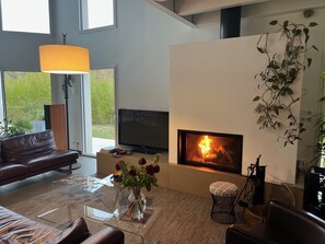 Una televisión, una chimenea, libros