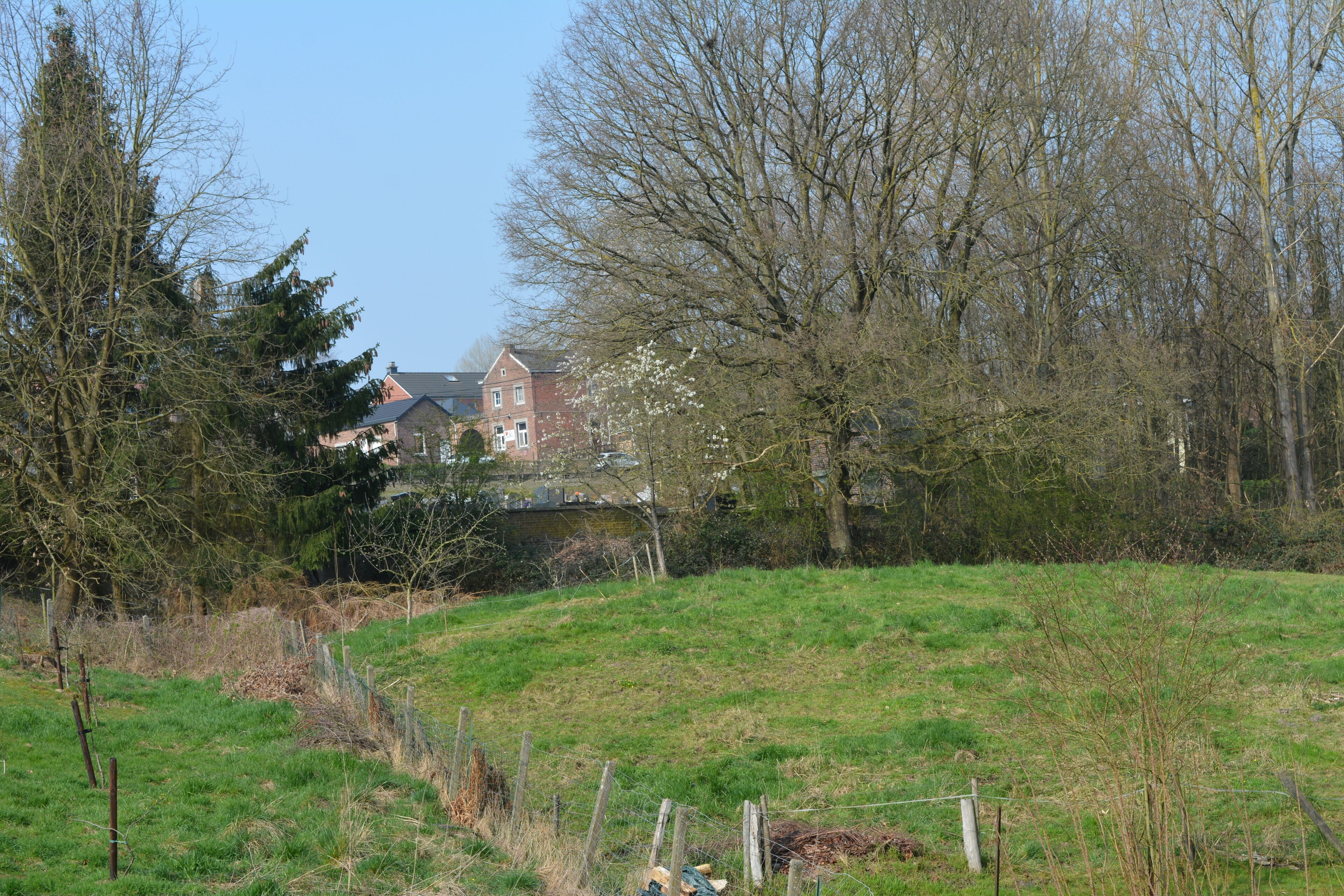 A rural landscape with a house surrounded by trees and a grassy field.
