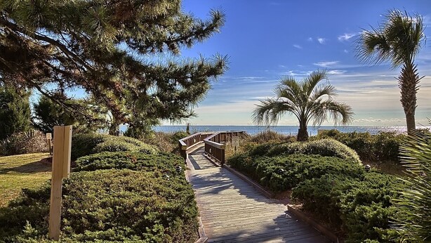 A wooden boardwalk leading to a beach with palm trees and dense greenery.