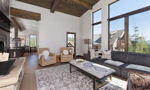 TV, fireplace, video games, stereo