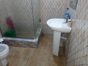 Toilet paper - Fully Furnished 1-Bedroom Mini-Flat (Ikeja)