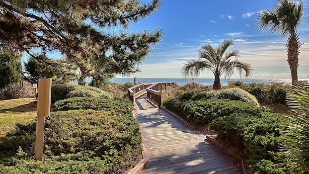 Une promenade en bois qui mène à une plage bordée de palmiers et d’une végétation luxuriante.