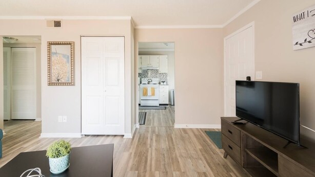A modern living room with a flat-screen TV, a coffee table with a plant, and a kitchen in the background. - Cute Condo in Rock Hill-45 (Rock Hill)