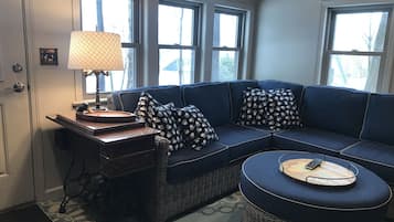 Una televisión, una chimenea, un reproductor de DVD, libros