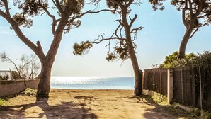 Un sentier de terre mène à une plage bordée d’arbres des deux côtés.