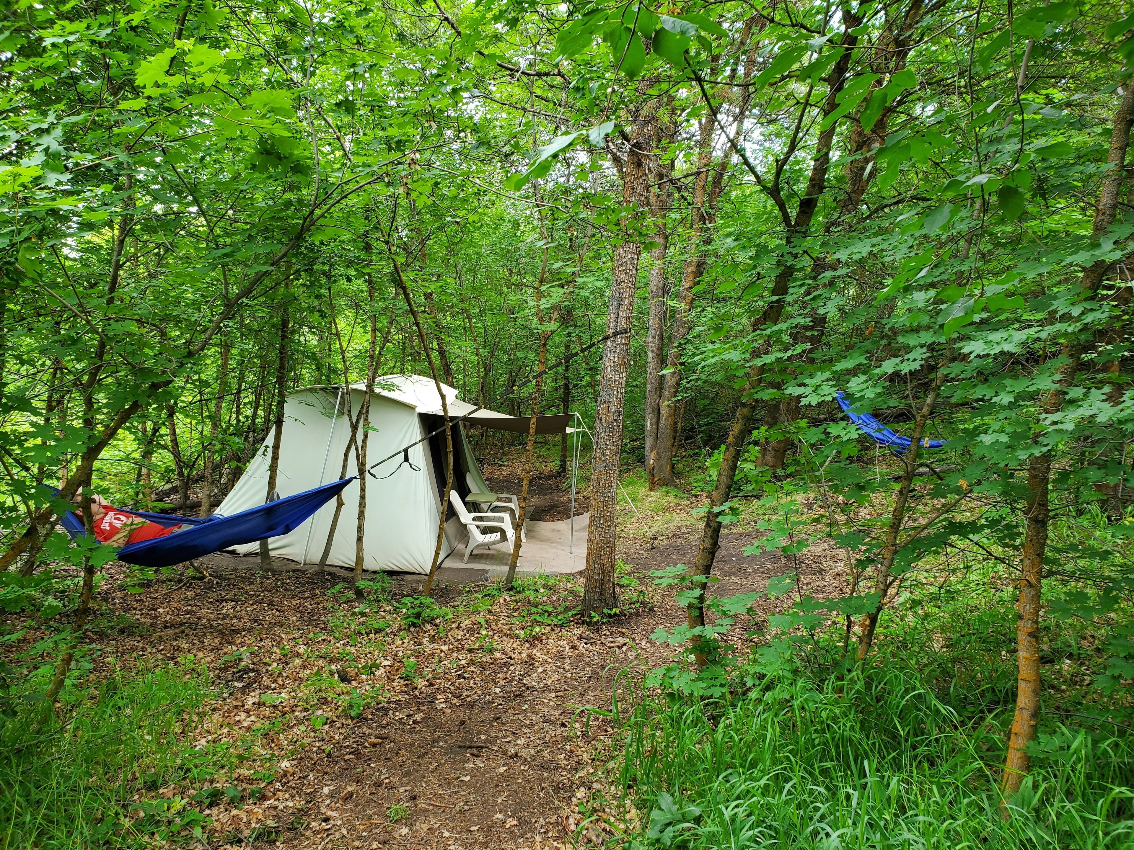 A tent set up in a forest with a hammock and a chair nearby.
