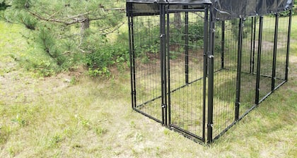 Schöne Blockhütte Abgeschieden Im Wald