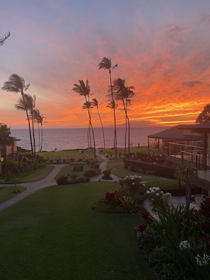 A sunset view with palm trees and a pathway leading to a building with outdoor seating.