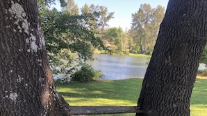 Een natuurlijk landschap met een meer, bomen en een houten brug.