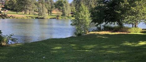 Un área verde con un lago, árboles y una casa al fondo.