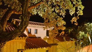 Un edificio tradicional con tejado de tejas, un balcón y un árbol en primer plano.
