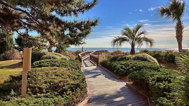 A wooden boardwalk leading to a beach with palm trees and dense greenery. - Directly Oceanfront Suite at Family Resort + Official On-Site Rental Privileges (Myrtle Beach)