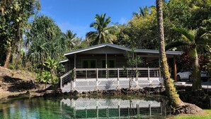 A house with a covered porch, a pond in front, and surrounding tropical vegetation.